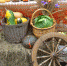 21 сентября 2019 года прошла ежегодная ярмарка сельскохозяйственной продукции и прикладного искусства «Кладовая солнца» - Бикинский район