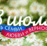 День семьи, любви и верности отметят завтра в Хабаровском крае - Бикинский район