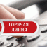 «Горячая линия» по вопросу предоставления работодателям субсидий при трудоустройстве молодежи - Бикинский район