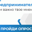 Опрос предпринимательских кругов - Бикинский район