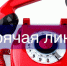 О проведении «горячей линии» - Бикинский район
