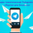 Создание Минфином России Telegram - канала "Портал для бизнеса" - Бикинский район
