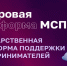 Цифровая платформа МСП как экосистема поддержки бизнеса - Бикинский район