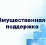 Имущественная поддержка субъектам МСП - Бикинский район