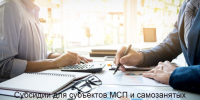 Прием заявок на предоставление субсидий субъектам МСП и самозанятым гражданам - Бикинский район