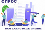 Проведение опроса предпринимателей