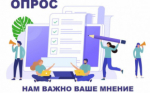 Проведение опроса предпринимателей